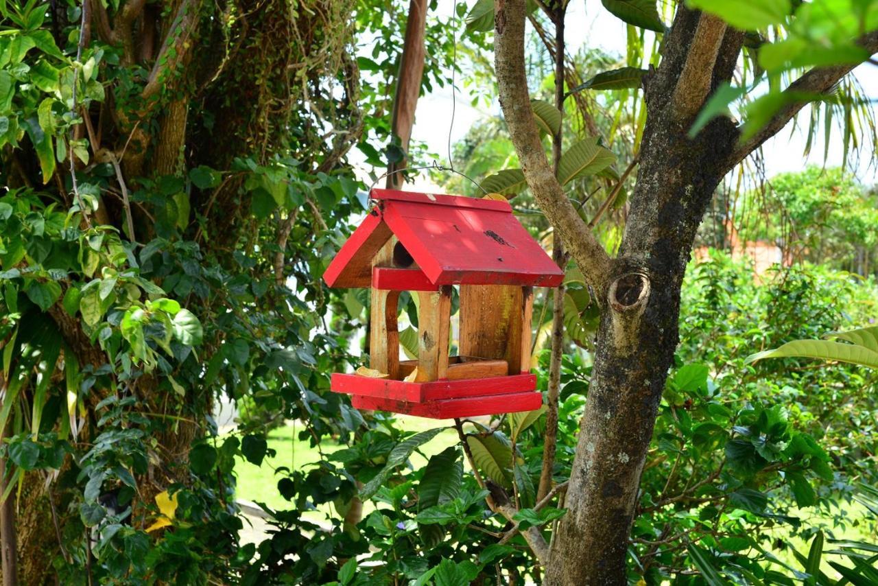 Pousada Arquipelago Florianópolis Exterior foto